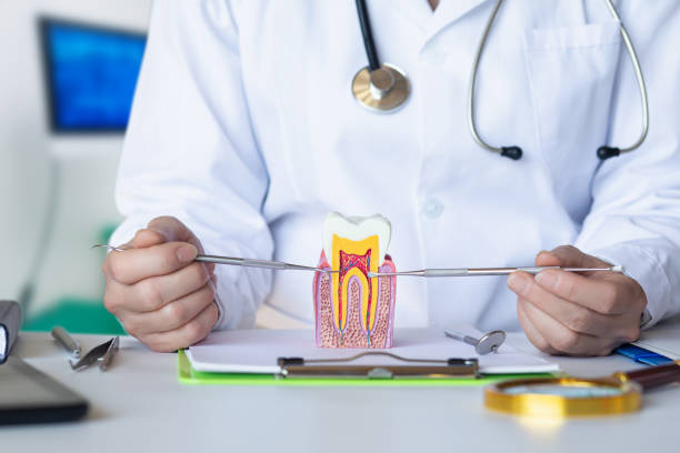 Best Emergency Tooth Extraction in Goose Creek, SC